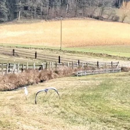 Laendliche Lage Apartment Wald (Cham)