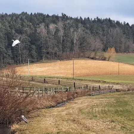 Laendliche Lage Wald (Cham)